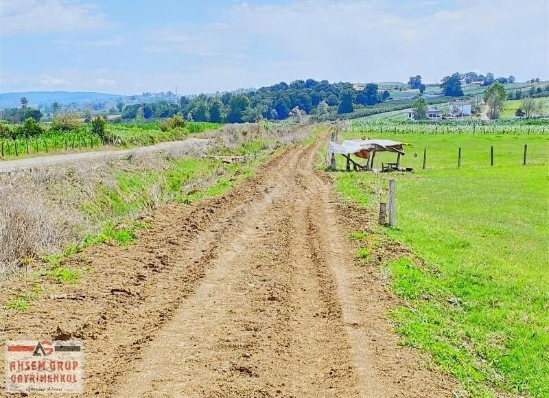 kaynarca yesilova mahallesi satilik arsa emlakjet