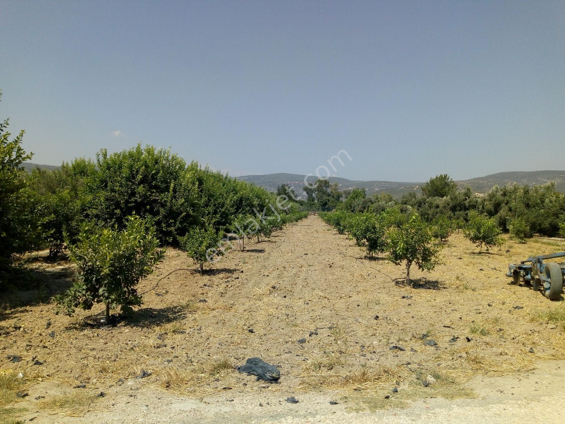 Silifke Goksu Mahallesi Satilik Arsa Emlakjet