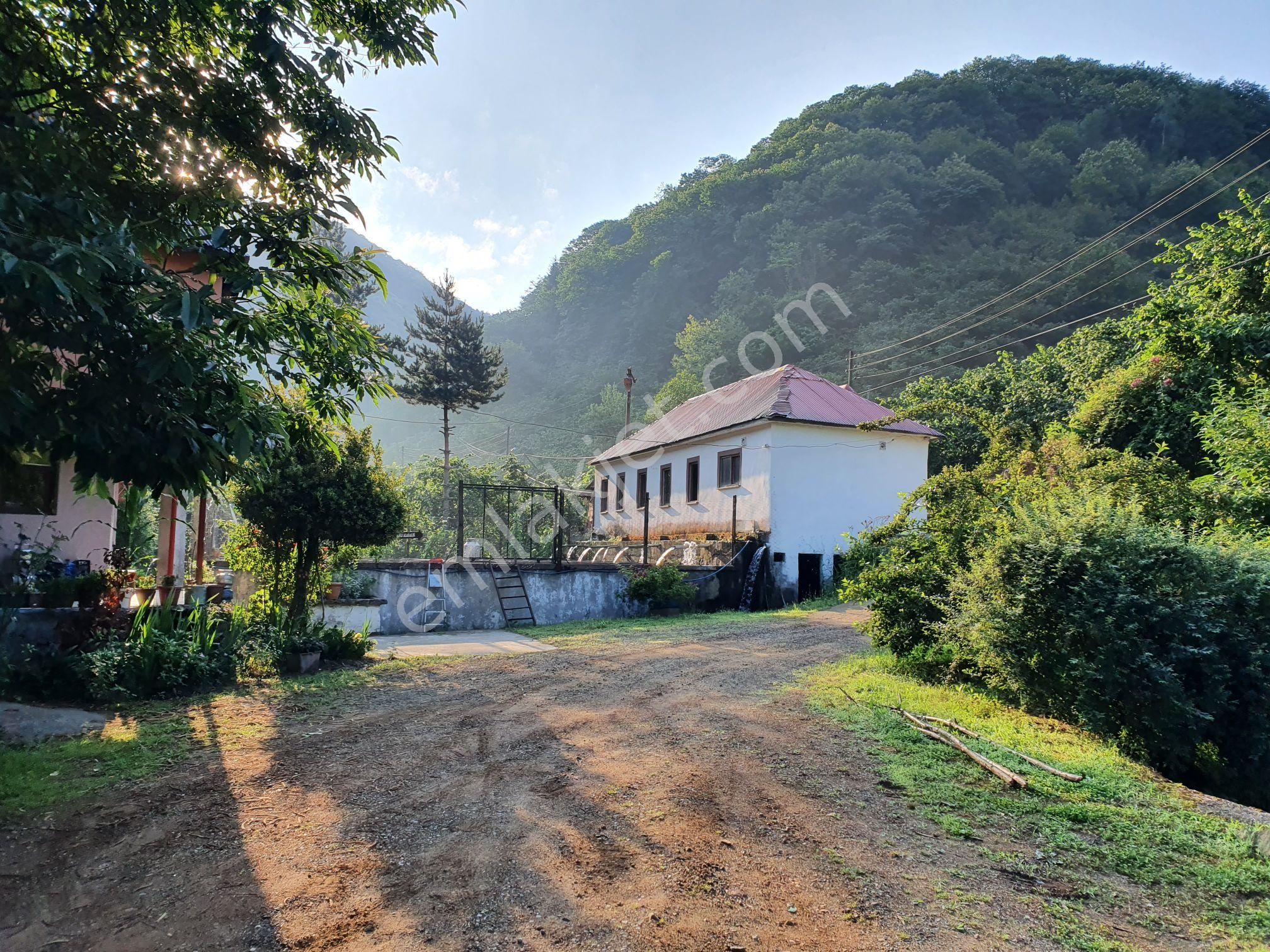 sahibinden giresun canakci akkoy koyu 1 oda satilik restaurant 2 700 000 tl 9830261 sahibinden giresun canakci akkoy koyu 1 oda satilik restaurant 2 700 000 tl 9830261