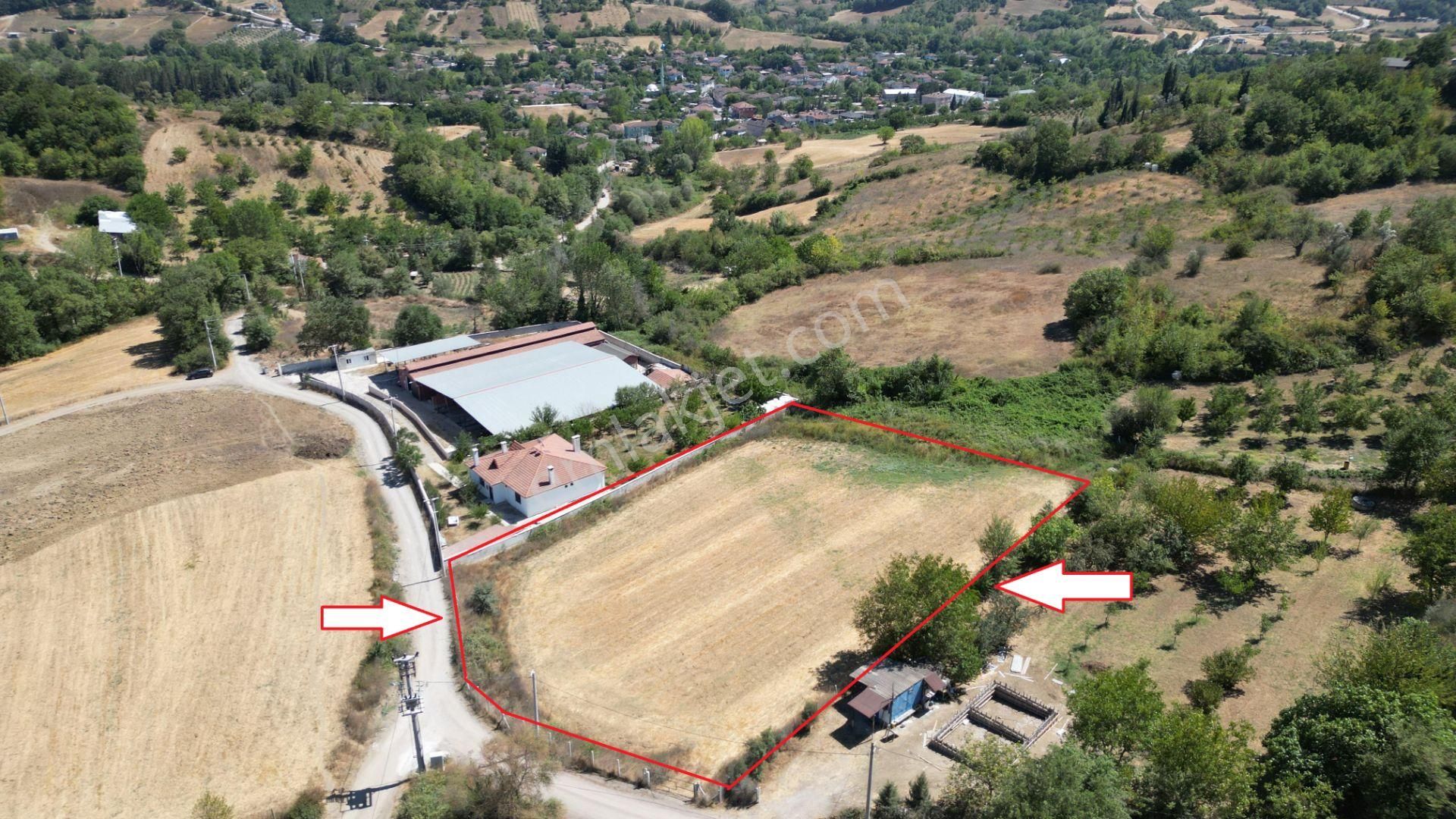 Kocaeli Karamürsel Yalakdere 4613 M² İyi Konumda Satılık Tarla