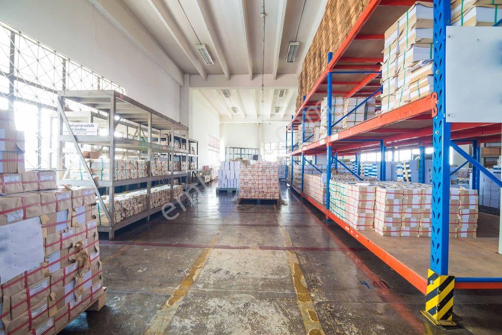 Kemalpaşa Son Kalan Çevre Otobanın Yakın 7 Dönüm - Görsel 6