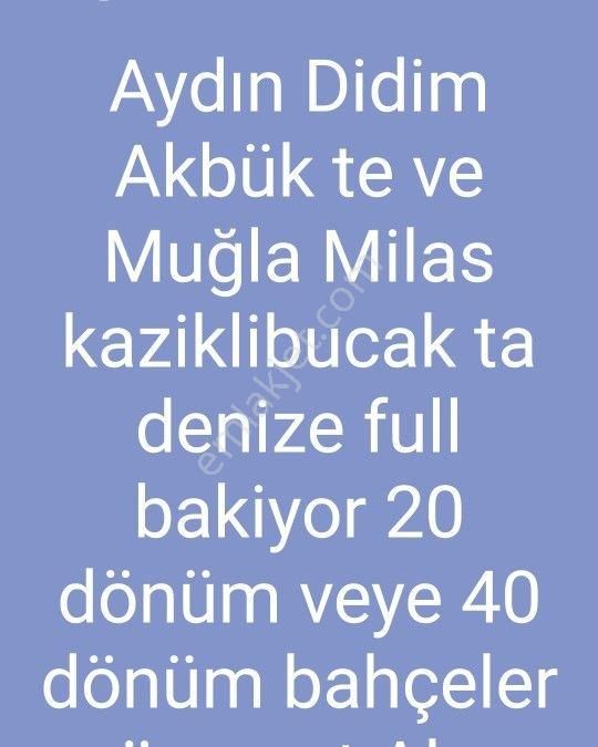 Sasalı Da Bulunan Tarla 416 Dönüm İmar Sınırları İçinde Olup Yanı Başında Villalar Var - Görsel 14