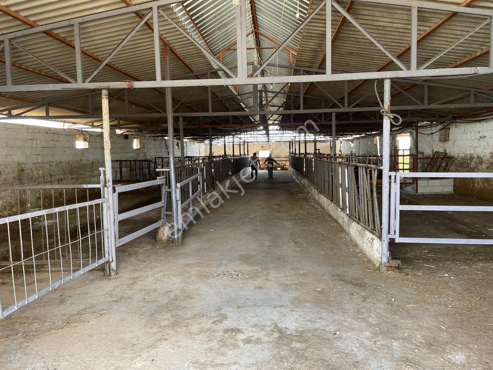 Gaziantep Satilik Ciftlik Ilanlari Ve Fiyatlari Gaziantep Satilik Ciftlik Ilanlari Ve Fiyatlari