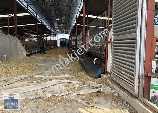Burdur Oto Ekspertiz Burdur Oto Ekspertiz I Burdur Oto Test I Burdur Ekspertiz