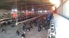 Menemen Seyrekte Kiralık Depo Tavuk Çiftliği 5.500 m2