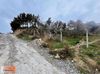 Kuşadası Ege mahallesi 546m2 (tek müstakil )villa arsası