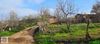 Gölpazarı Alıç'ta Köye 120m Resmi Yollu Bahçe