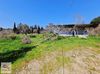 Bodrum Dereköy de müstakil geniş bahçeli tek katlı köy evi