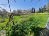 Bodrum Dereköy de müstakil geniş bahçeli tek katlı köy evi