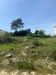 ANTALYA MANAVGAT SARILAR'DA 3551 M2 SATILIK ARSA