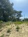 ANTALYA MANAVGAT SARILAR'DA 3551 M2 SATILIK ARSA