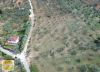Bülent ATEŞCİ'den 6181 Sokakta 5814 m2 Zeytinli Tarla