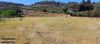 Portfoy No: 17576760