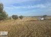 Kıbrıs Girne Dikmende Yola Yakın Yatırımlık Arsa 8300 m2