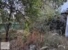 KUŞADASI KİRAZLI KÖYÜNDE BAHÇELİ ESKİ KÖY EVİ 2+1