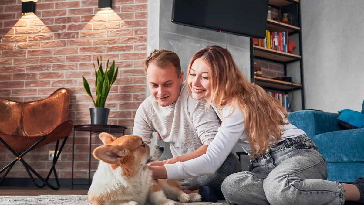 Kiracılar Evlerinde Evcil Hayvan Besleyebilir Mi?