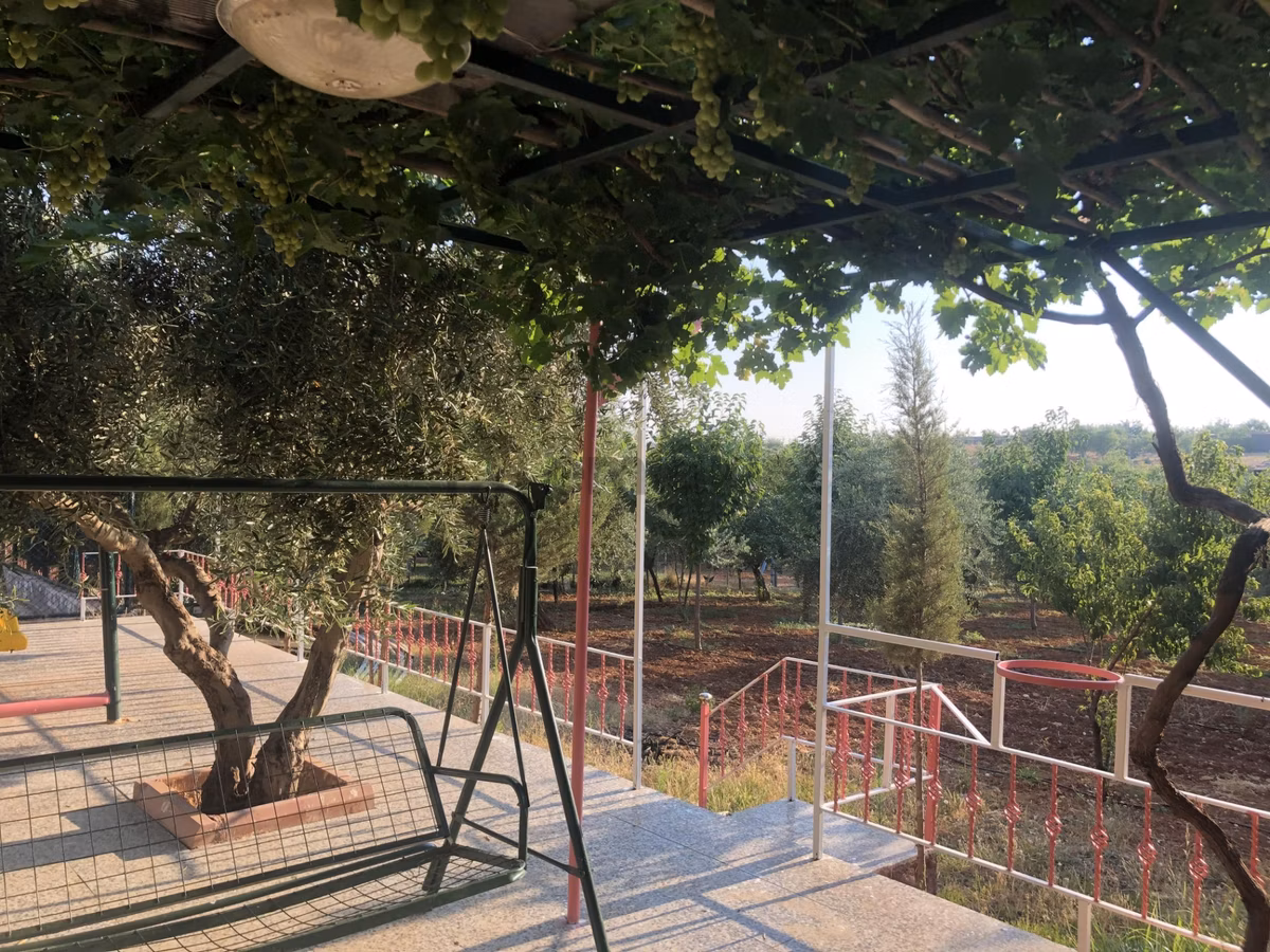Sami Bakır'dan Serincede Anayol Üzeri Havuzlu Bagevi - 6