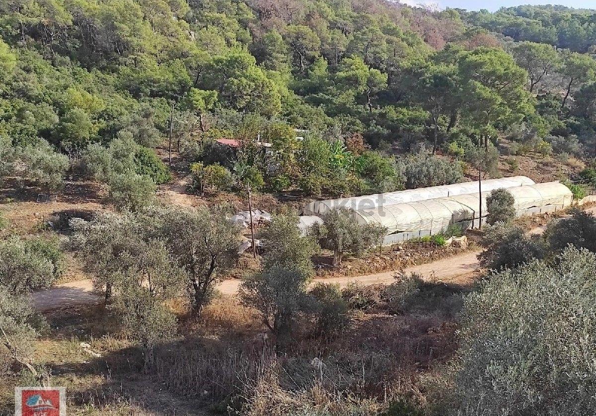 Antalya Kaş Patara'da Satılık Pansiyon - 33
