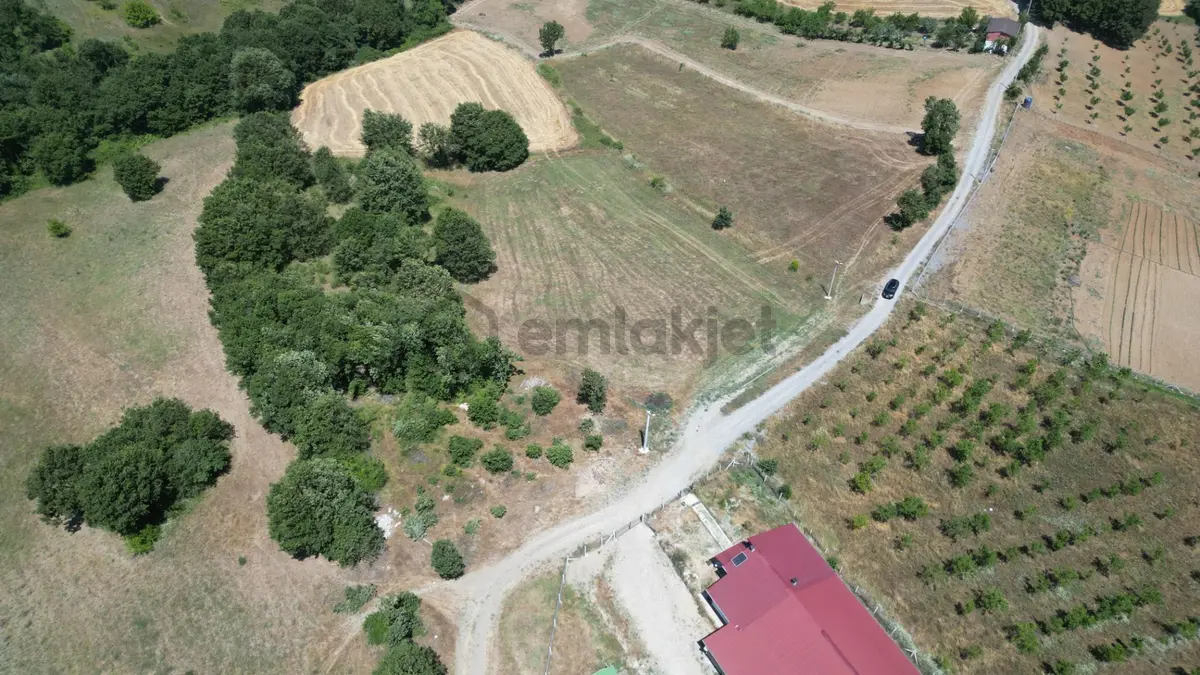 Kocaeli Karamürsel Çamdibi Mahallesi 7734 M2 Satılık Tarla - 3
