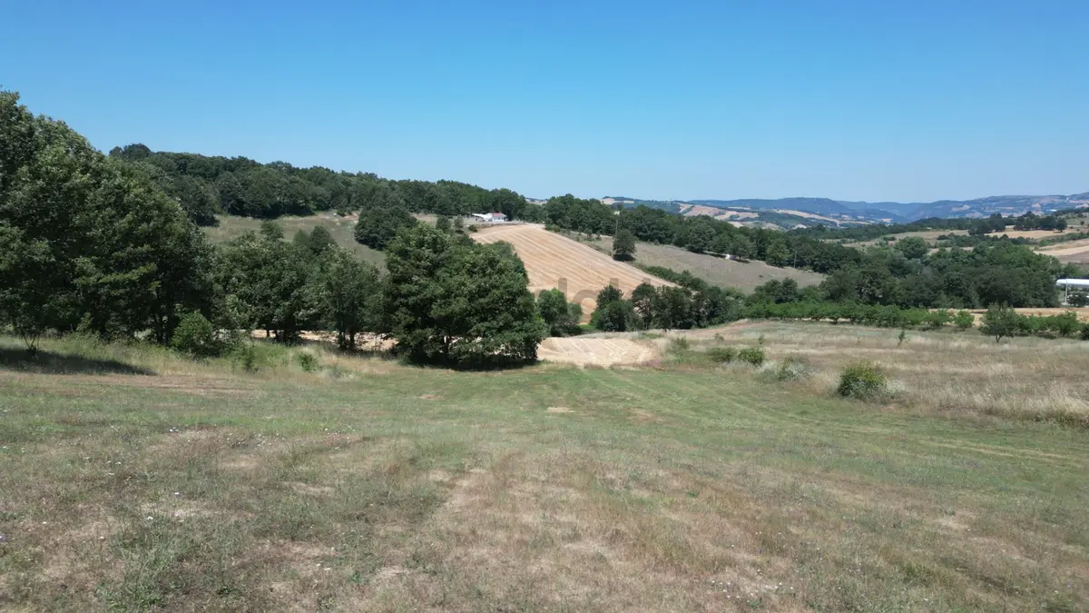 Kocaeli Karamürsel Çamdibi Mahallesi 7734 M2 Satılık Tarla - 8