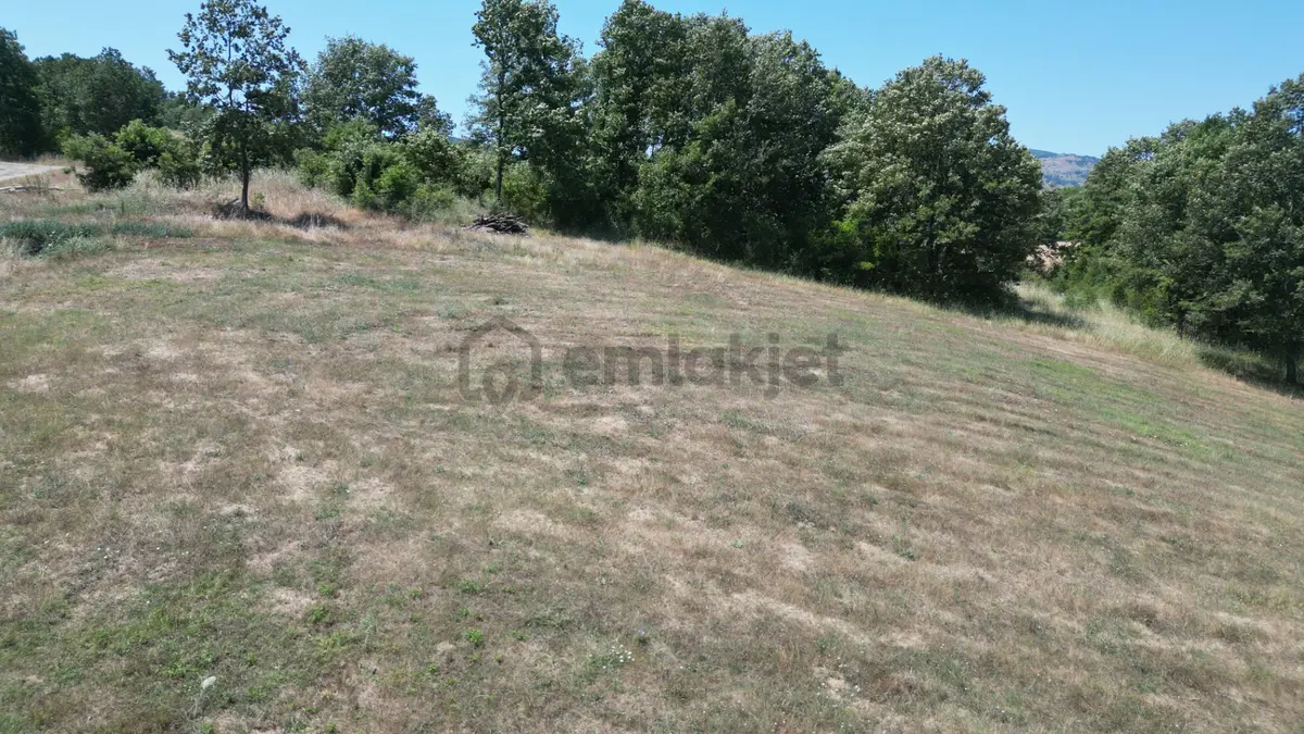 Kocaeli Karamürsel Çamdibi Mahallesi 7734 M2 Satılık Tarla - 9