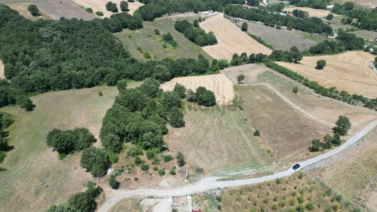 Kocaeli Karamürsel Çamdibi Mahallesi 7734 M2 Satılık Tarla - 5