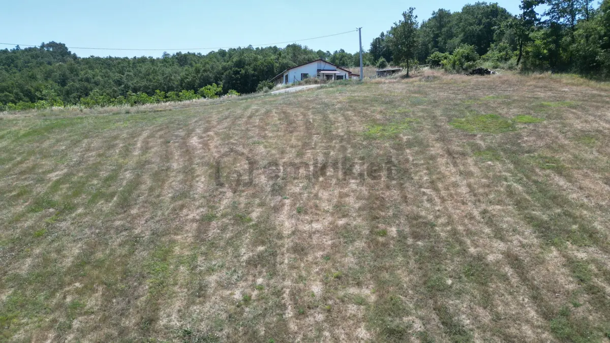 Kocaeli Karamürsel Çamdibi Mahallesi 7734 M2 Satılık Tarla - 7