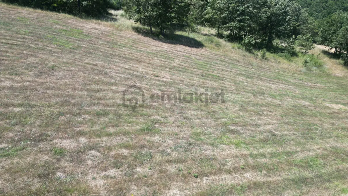 Kocaeli Karamürsel Çamdibi Mahallesi 7734 M2 Satılık Tarla - 10