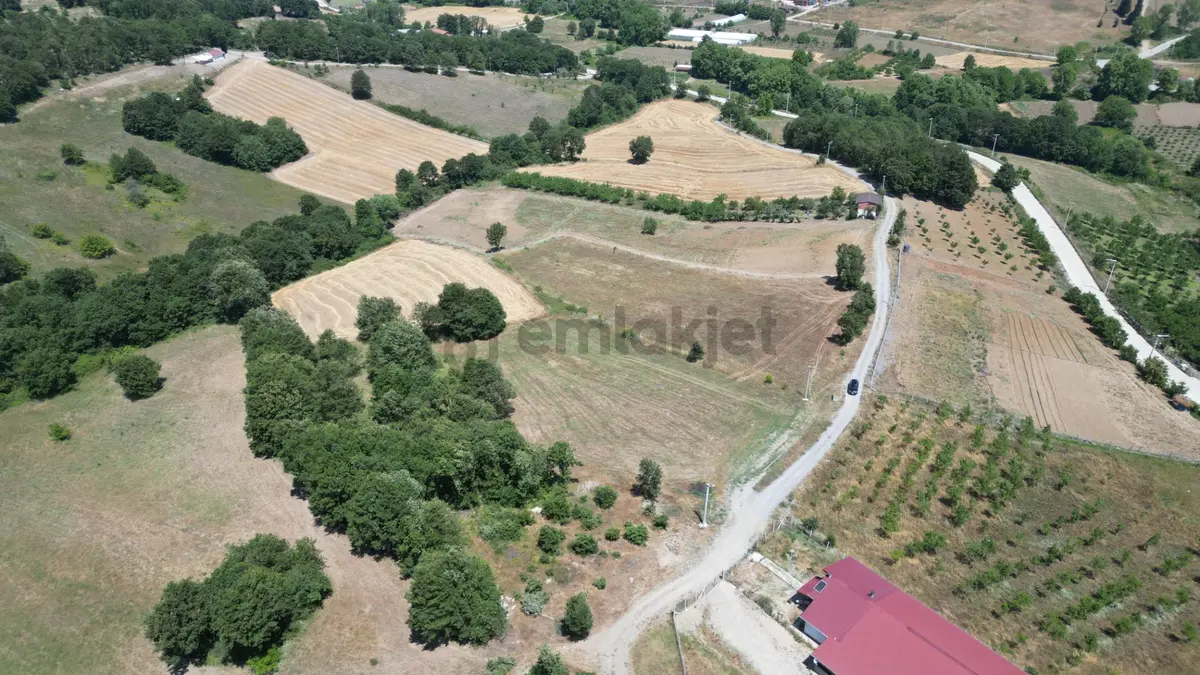 Kocaeli Karamürsel Çamdibi Mahallesi 7734 M2 Satılık Tarla - 4