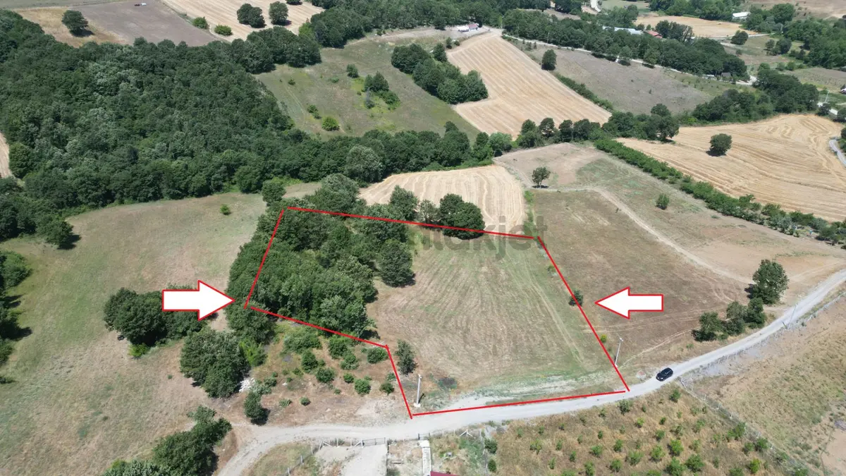 Kocaeli Karamürsel Çamdibi Mahallesi 7734 M2 Satılık Tarla - 2
