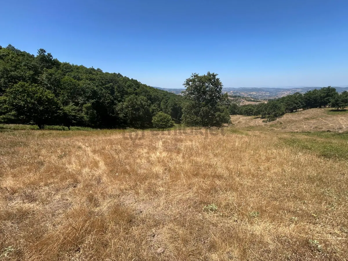 Kocaeli Karamürsel Çamdibi Mahallesi 4858 M2 İmarlı Satılık Tarla - 16
