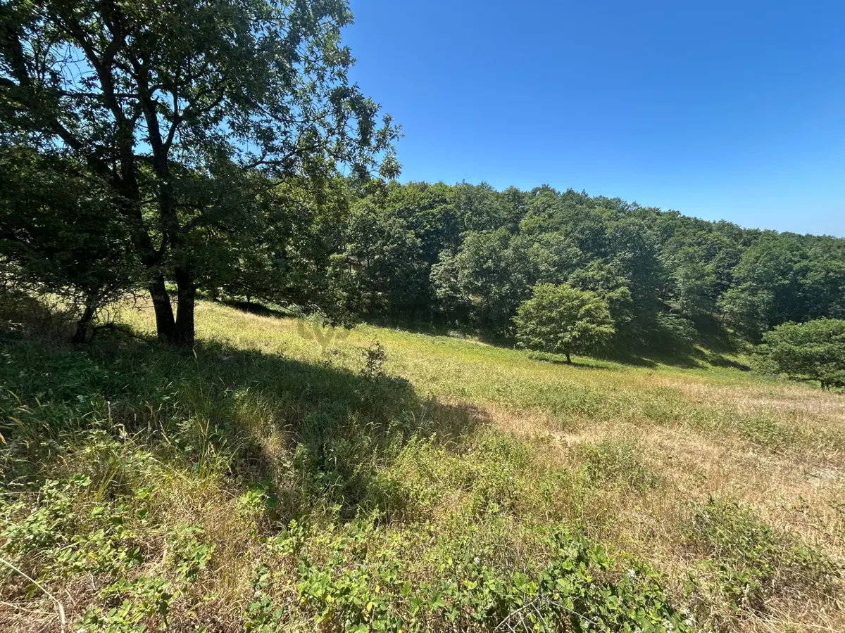 Kocaeli Karamürsel Çamdibi Mahallesi 4858 M2 İmarlı Satılık Tarla - 7