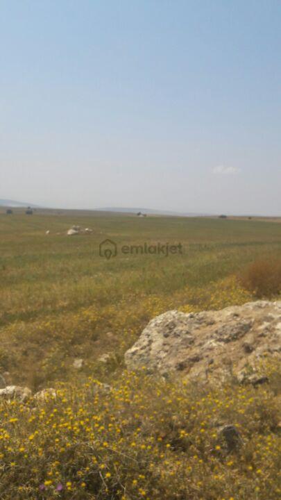 Sahibinden Satılık Tarla Eskişehir