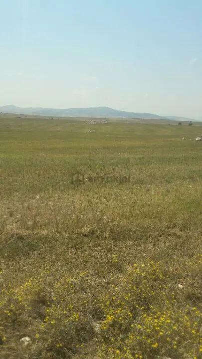 Sahibinden Satılık Tarla Eskişehir - 5
