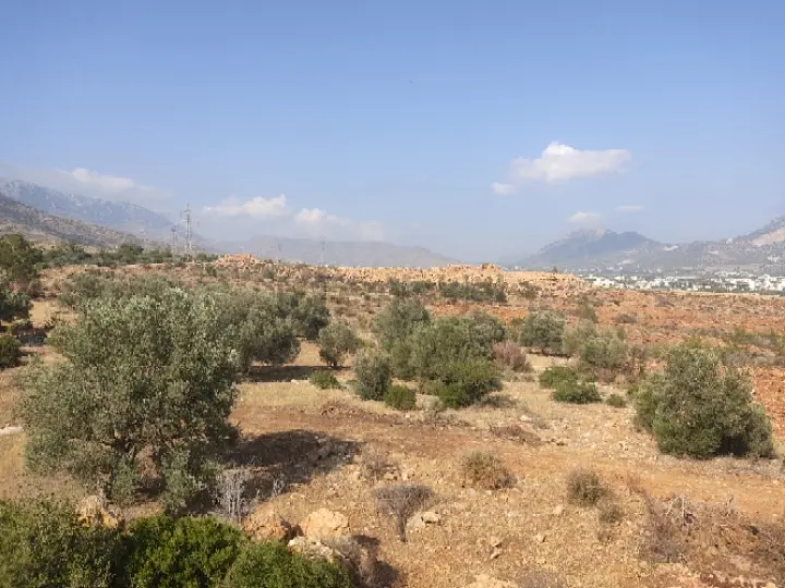 Sahibinden 1.450m2 Deniz Manzaralı Arsa - 6
