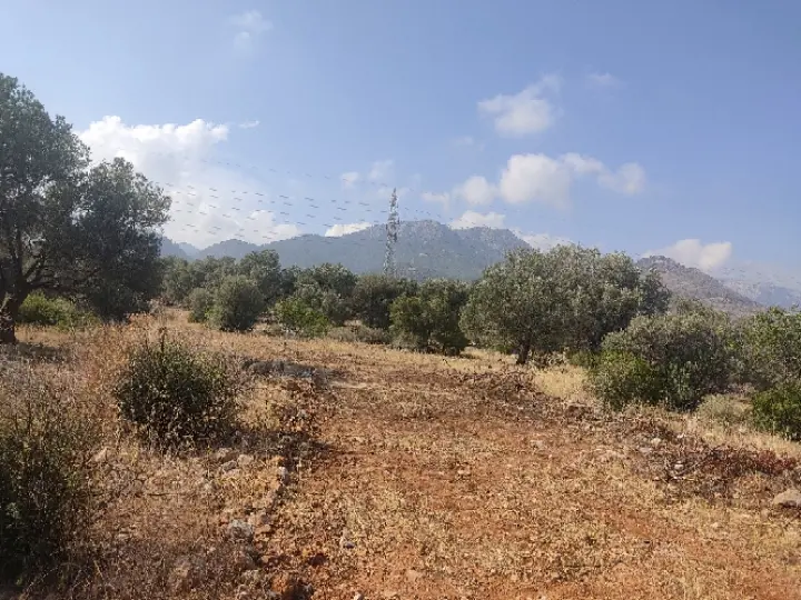 Sahibinden 1.450m2 Deniz Manzaralı Arsa - 8