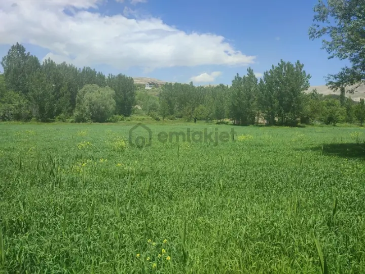 Sahibinden Karpınar Çiftliği - 3
