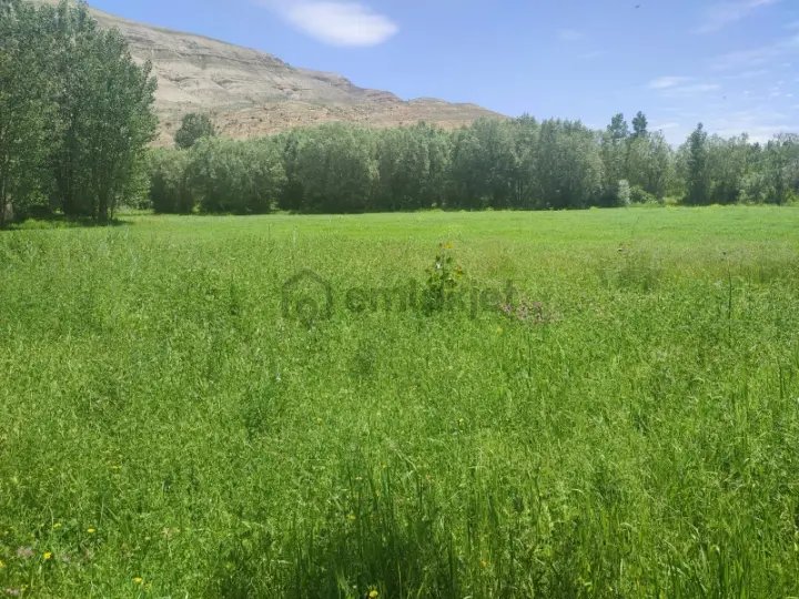 Sahibinden Karpınar Çiftliği