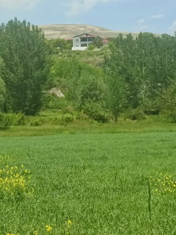 Sahibinden Karpınar Çiftliği - 8