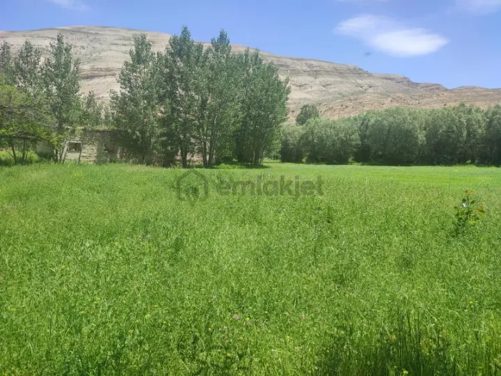 Sahibinden Karpınar Çiftliği - 2