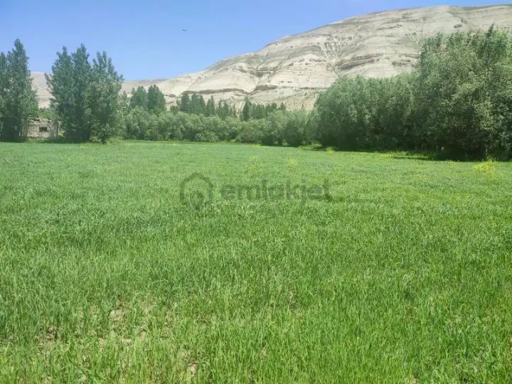 Sahibinden Karpınar Çiftliği - 4