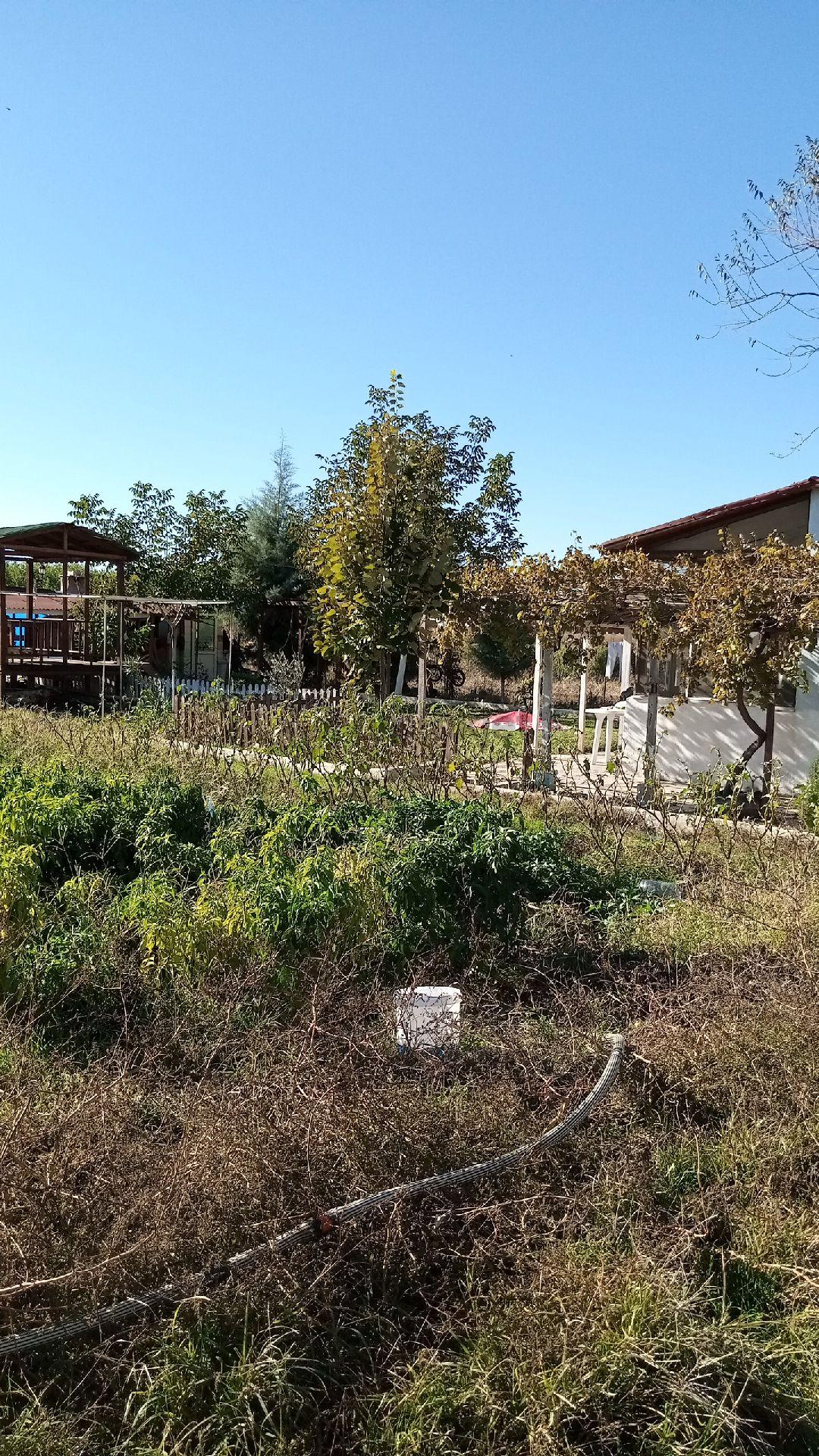 Sahibinden Bonaköy Satılık Bahçe - 21