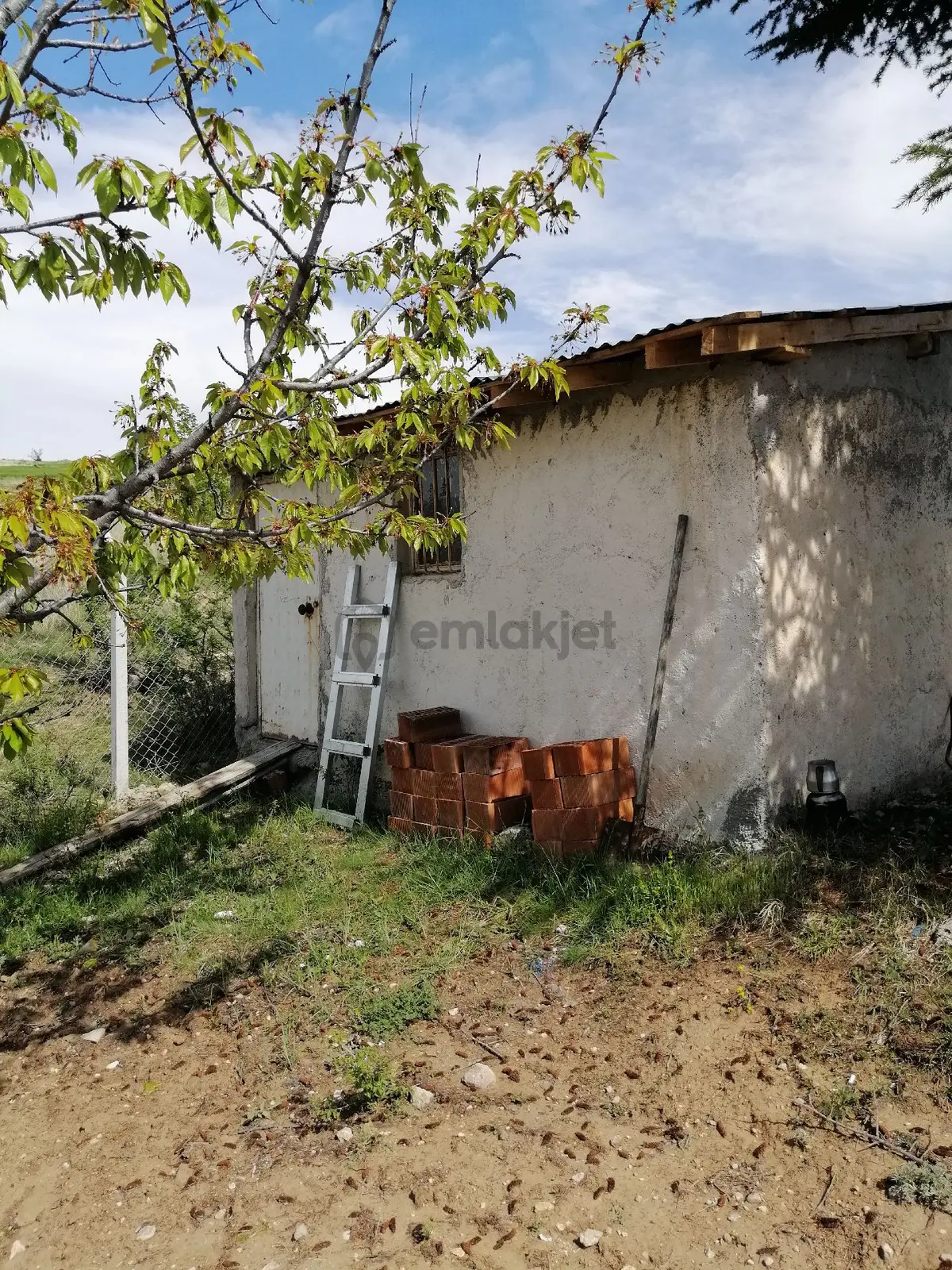 Tek Tapu Sahibinden Ceviz Bahçesi - 5