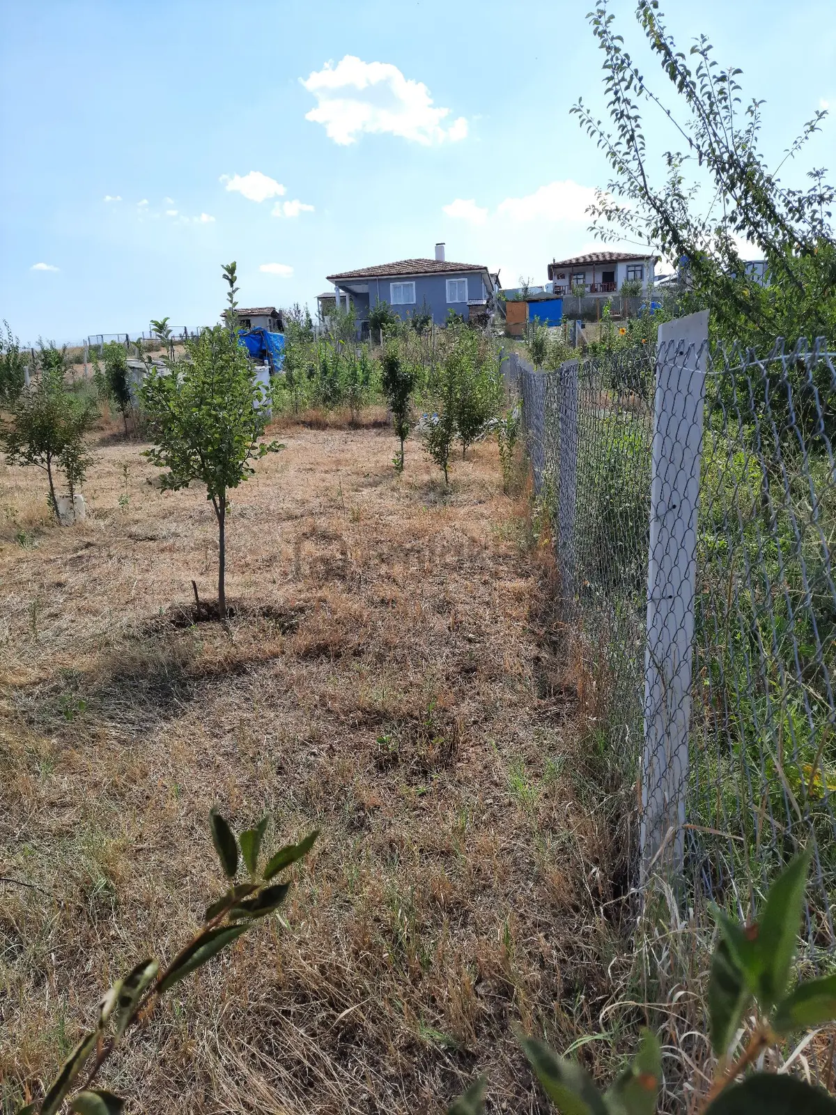 Sahibinden Lokasyonlu Hobi Bahçesi