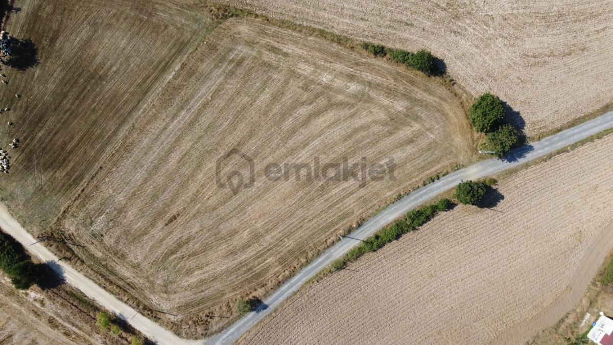 Sahibinden Sahibinden Satılık İmara Sınır Konumda Tarla - 4