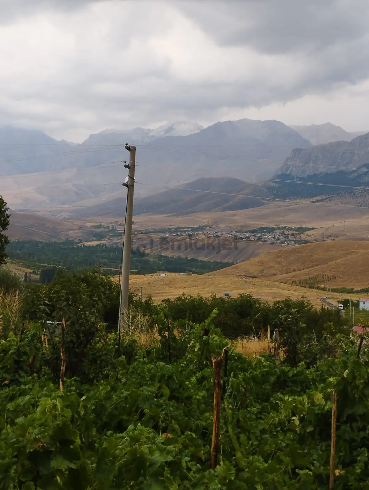 Çamardı Mahmatlı İmar Dibi 1732m2 Verimli Tarla - 5