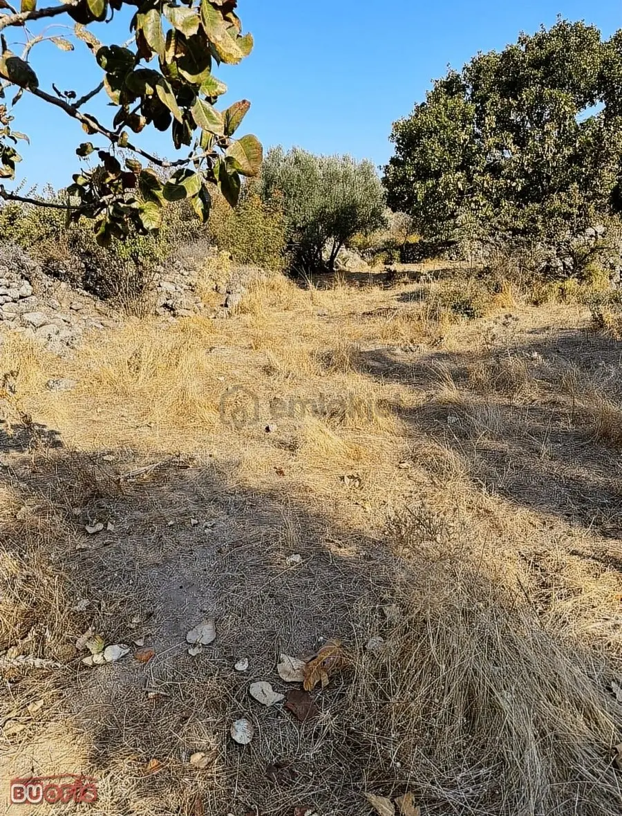 Çaltı Mahallesinde Asfalta Sıfır Arazi - 16