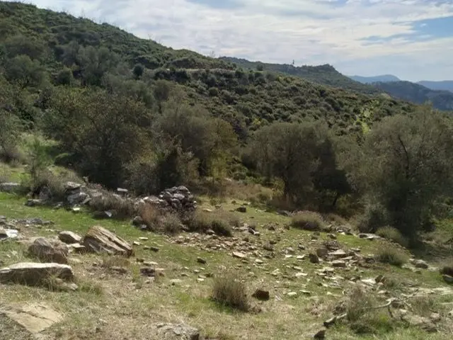 102-orman İçinde Sessiz Sakin Arazi - 13