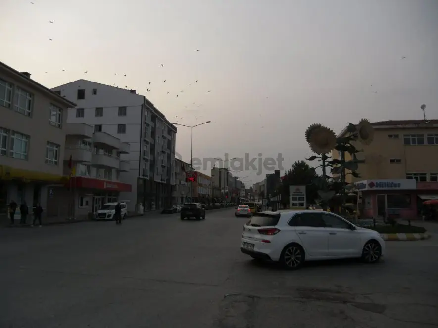 Edirne Havsa Tahal Köyünde Satılık Tarla - 30