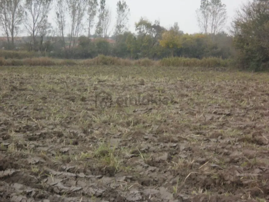 Edirne Havsa Tahal Köyünde Satılık Tarla - 22